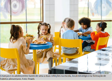 alimentação escolar2